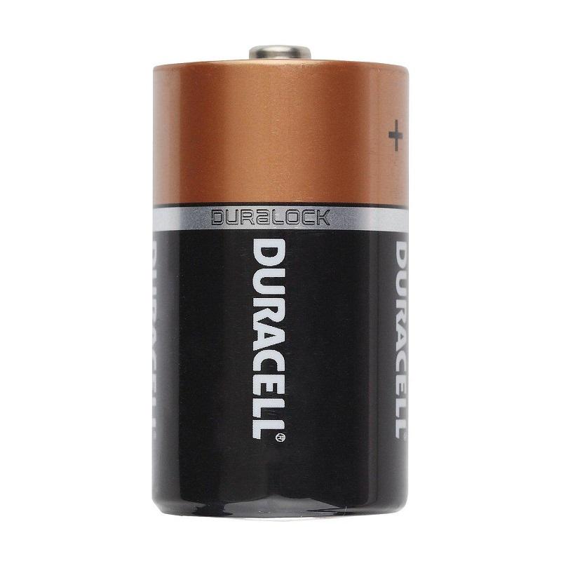 R20/LR20/D